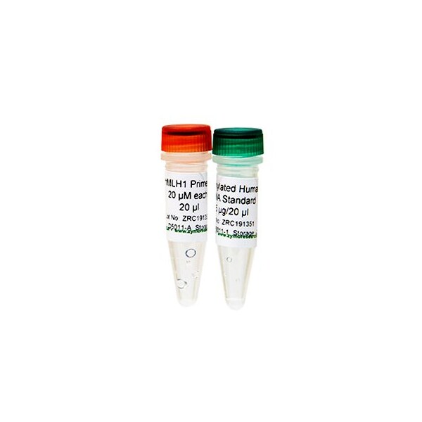 Universal Methylated Human DNA Standard